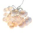 thumbnail image 1 of Moyic Cadena de decoración de concha de 3 m Cadena de hadas de concha alimentada por Luz blanca cálida Luz de cadena de Iluminación navideña Moyic HA014667-00, 1 of 1