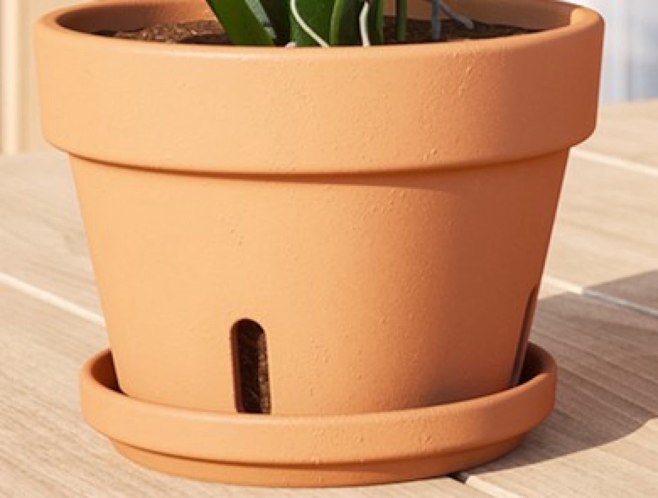 Artevasi 6 inch Round Terracotta Clay Plant Saucer