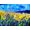Unframed, variant on Art.com Blue cornflowers 68 Art Print by Pol Ledent, 16" x 12"