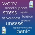 thumbnail image 4 of Children's, Anxiety Comfort, Berry, 45 Soft Chewables, Creekside Natural Therapeutics, 4 of 13