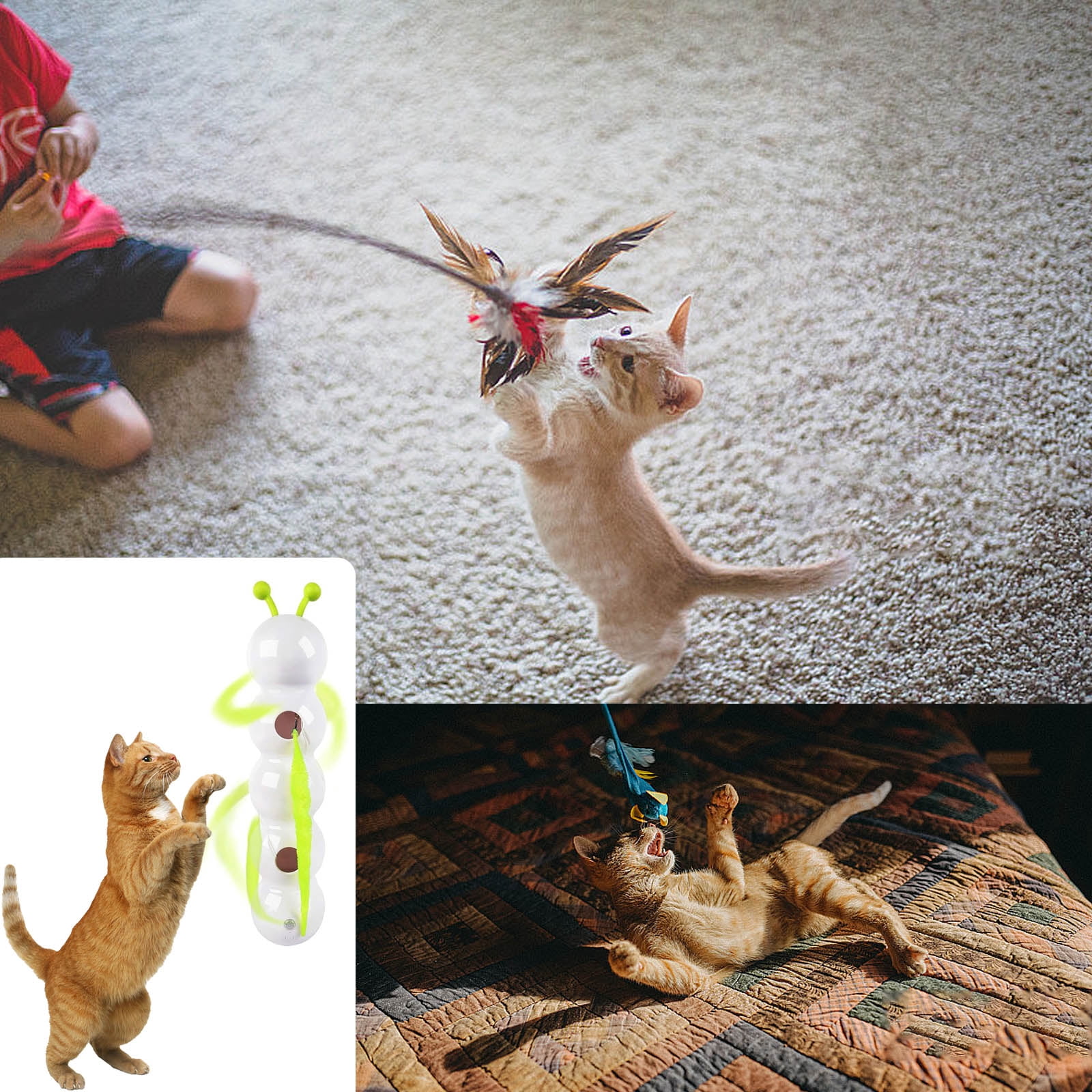 Interactively Auto Playing Cats Teaser Rechargeable Hunting Training Toy for Hunting Skill Development