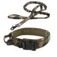 thumbnail image 1 of Dog Collar and Leash Set, Nylon Collar and Leash for Dogs Classic Solid Colors f, 1 of 5