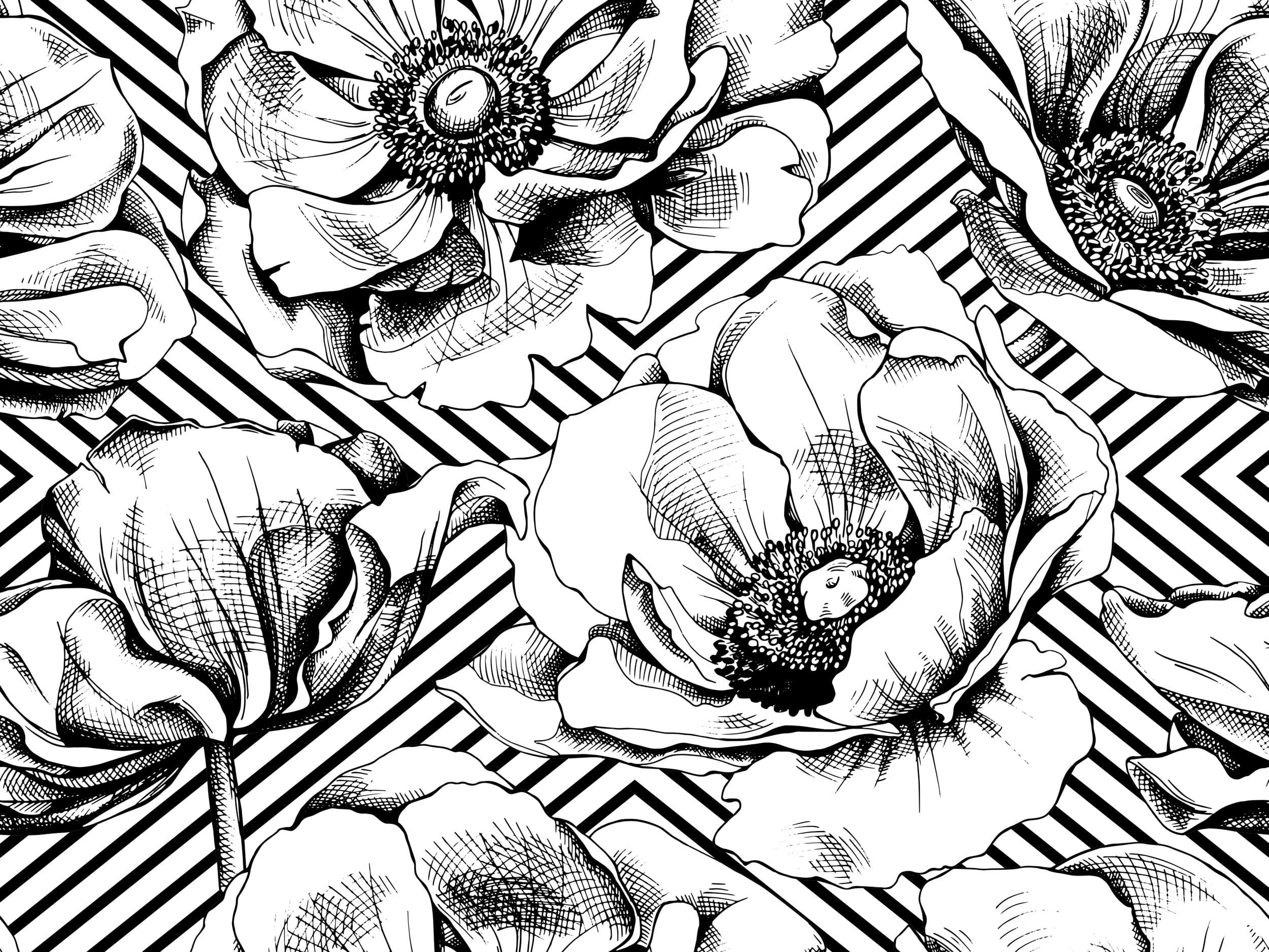 Black and White Poppies Removable Wallpaper 10'L x 24''W