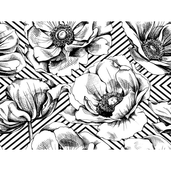 Black and White Poppies Removable Wallpaper 10'L x 24''W