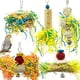 thumbnail image 1 of EBaokuup - Juguetes para triturar loros de pájaros, juguetes para masticar periquitos, juguetes de lufa para pájaros, juguetes para triturar jaulas para loros, juguetes colgantes para forrajeo de pájaros, accesorios para pájaros para loros, tortolitos, cacatúas, conure, gris africano MFZFUKR DLM516, 1 of 8