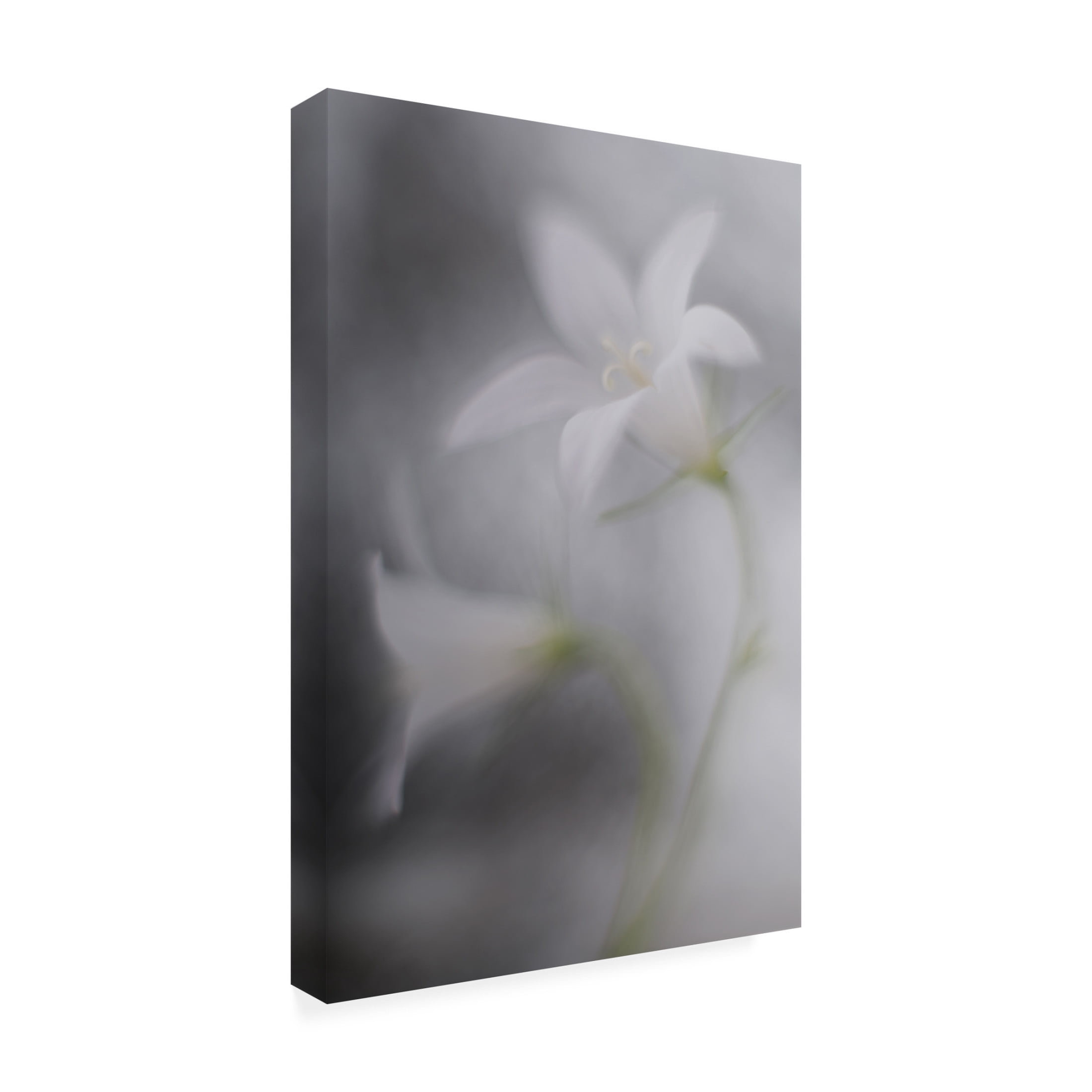 Canvas Wall Art - Doris Reindl 'Bells' Wall Art for Living Room, Bedroom, or Office D?cor by Trademark Fine Art - 16 x 24 Inches
