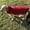 Wine, variant on Dog Clothing in Autumn and Winter Pet Fleece Clothing with Vest On Both Sides, Dog Coat Warm Padded Puffer Vest Puppy Jacket with Fleece XS Green