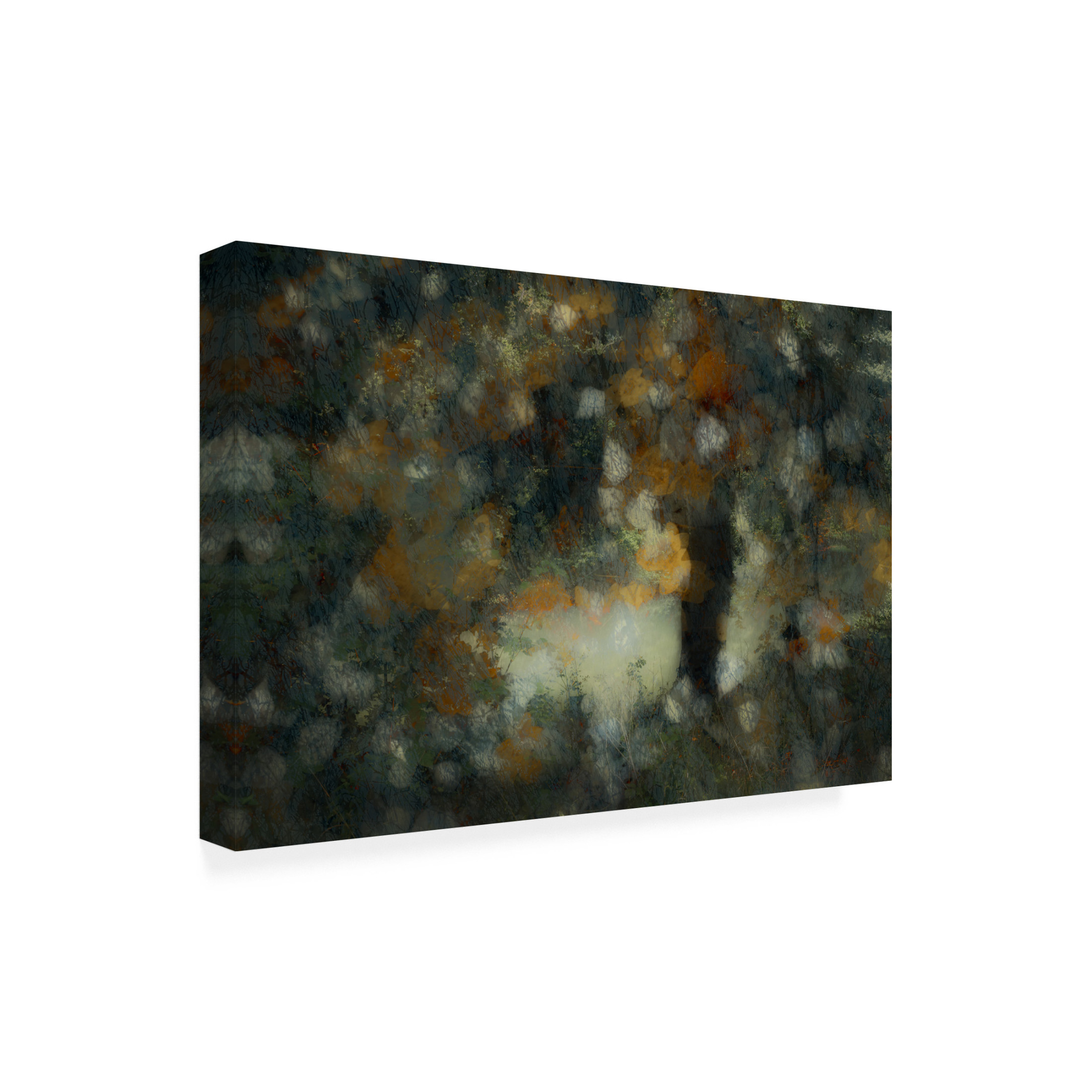 Canvas Wall Art - Fuyuki Hattori 'Look Through' Wall Art for Living Room, Bedroom, or Office Décor by Trademark Fine Art - 47 x 30 Inches