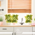 thumbnail image 4 of Paquete 5 Plantas Artificiales Tropicales Falsas Codiaeum verde 1 Sky Green AT17197, 4 of 7