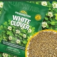 thumbnail image 5 of Pennington Durana White Clover Seed, 2lb, 5 of 13