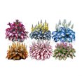 thumbnail image 1 of Semillas de Hosta abigarrada, variedad mixta #4, 100 semillas, 1 of 1