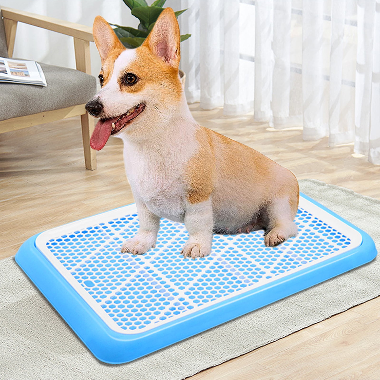 Nubstoer Indoor Training Dog Potty Tray with Pee Post Protection Wall Cover Dog Toilet Blue