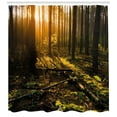 thumbnail image 3 of Ambesonne Forest Shower Curtain, Misty Morning Sun Rays, 69"Wx70"L, Brown Fern Green, 3 of 3