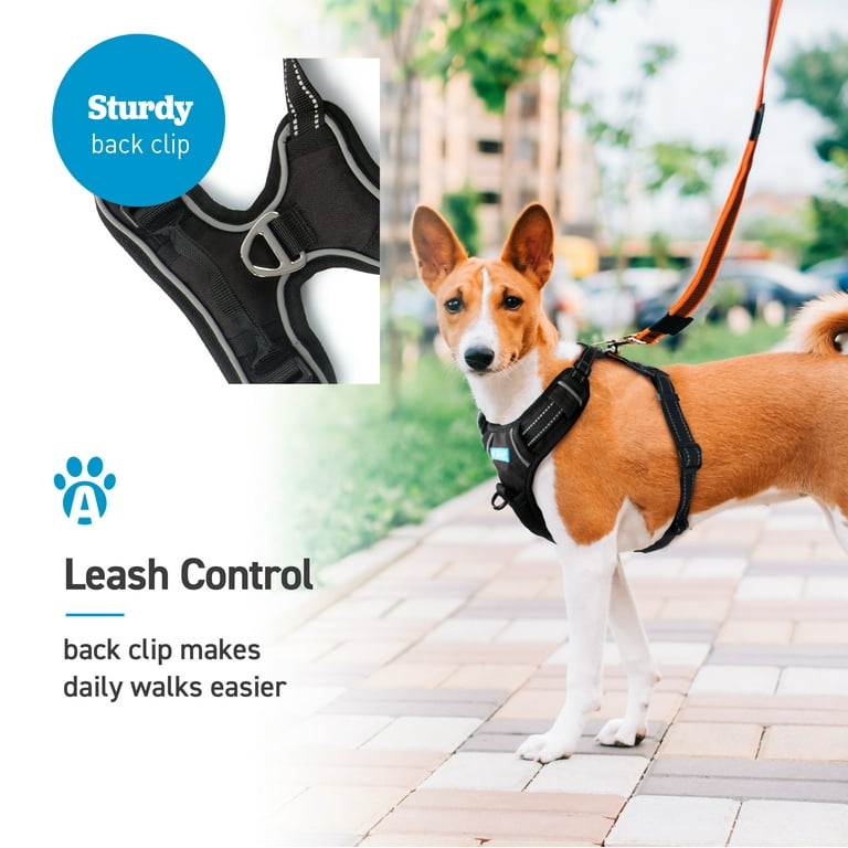 Extra extra small dog harness hot sale