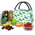 thumbnail image 3 of Yiaed Cute Dinosaur Blue Green Print Lunch box lunch bag Portable Insulated Lunch Box for Women Men Cooler Tote Bag with Front Pocket for Work Picnic Travel, 3 of 6
