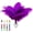 Purple, variant on Piokio 40pcs Natural Black Ostrich Feathers 10-12 inch (25-30cm) Bulk Feathers for Wedding Party Centerpieces, Home Decoration and DIY Clothing, Gatsby Decorations