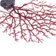 thumbnail image 2 of Adorno Rojo para Acuario Gloria Acuario Coral Rojo, 2 of 6