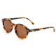 thumbnail image 1 of Lentes De Sol Xolek 113 Acetato Retro Animal Uv Polarizado, 1 of 5