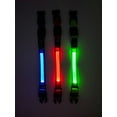 thumbnail image 3 of Light Up Flashing Led Collar with Air Tag Holder, Keep Your Pet Safe and Stylish, 3 of 4