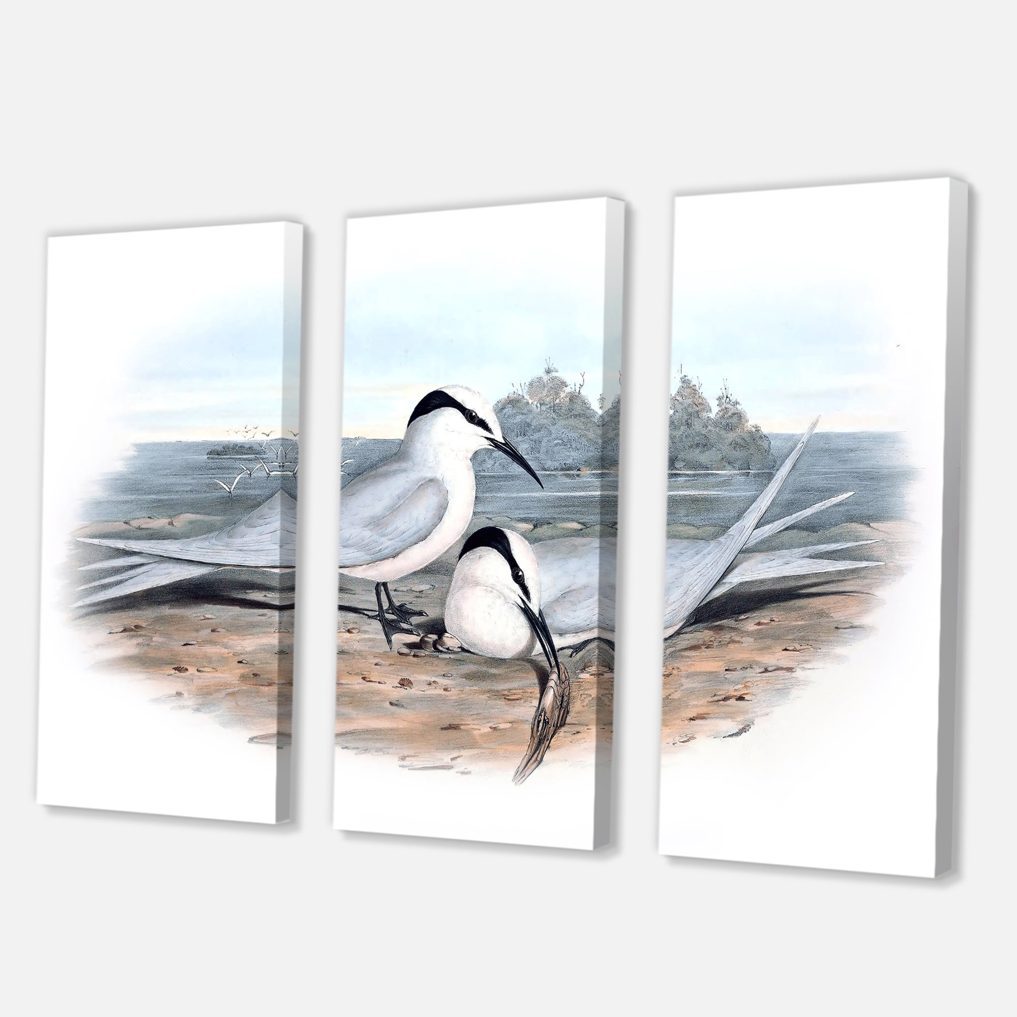 Designart ' Ancient Birds In The Wild IX ' Traditional Canvas Wall Art Print