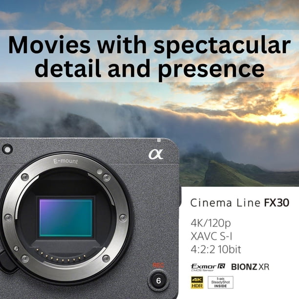 FX30 + 10-20mm Lens - Speco cameras for campus safety - Walmart