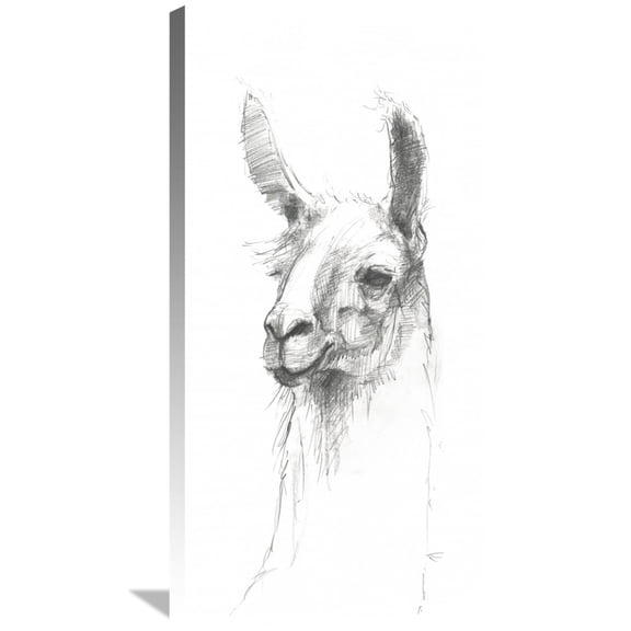Global Gallery Avery Tillmon 'Bianca Pencil' Canvas Wall Art