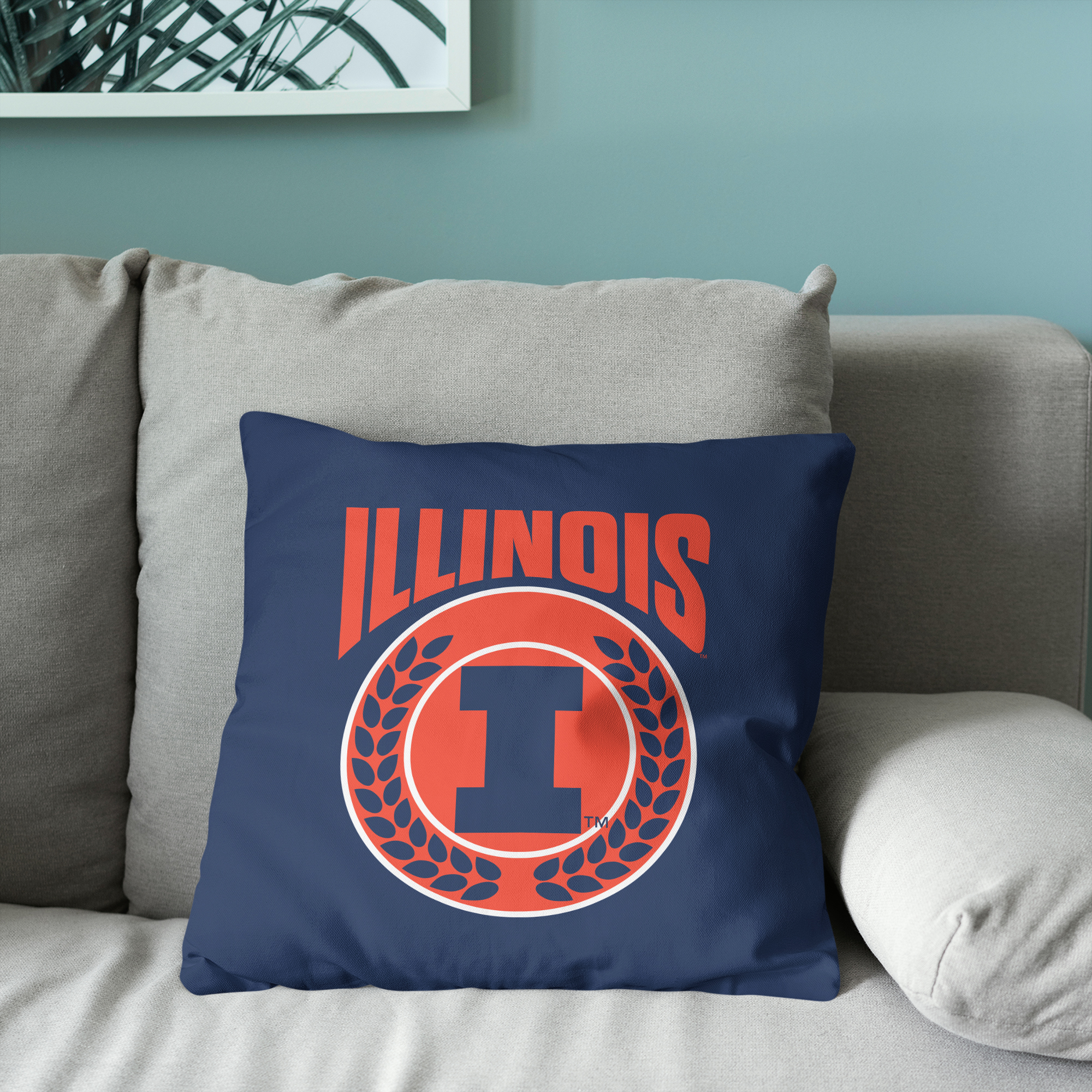 Illinois NCAA Triumph Square Cloud Pillow 24 inches