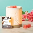 thumbnail image 2 of Warm Cashmere Spice Scented Wax Melts, Better Homes & Gardens, 2.5 oz (5-Pack), 2 of 6