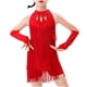 thumbnail image 1 of Odeerbi 2-8 Años Niñas Flecos Vestido de Baile Latino Con Sobremanga Conjunto Escenario Rendimiento Trajes de Baile Mono de Práctica Falda Con Borlas, 1 of 4