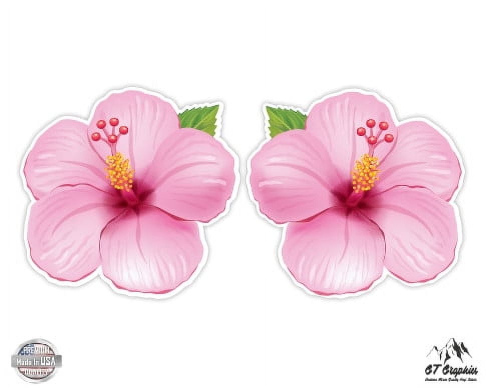 Hibiscus Blue and Pink Tropical Cute Flowers Hawaii - 5