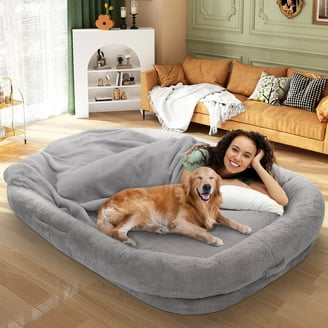 Dextrus Human Dog Bed, Oversized Memory Foam Dog Bed, 79