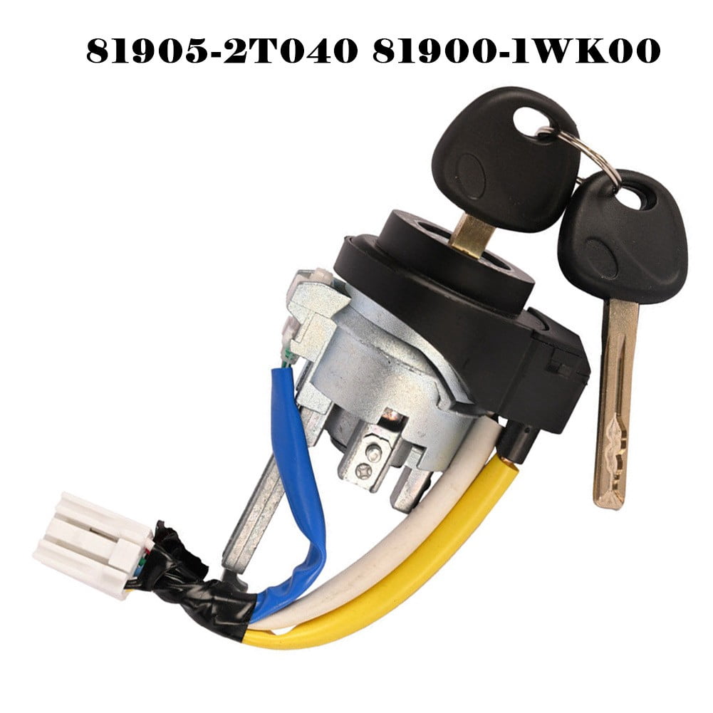 Weber Zündkit 67847 Mit Batterie Für Genesis Grill (2008-2010) – Inkl. Zündmodul & Elektrode