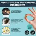 thumbnail image 4 of Mighty Paw Dog Calming Chews with Melatonin – Anxiety & Stress Relief Treats for Puppies & Large Dogs, 120 Ct, 4 of 11