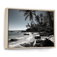 thumbnail image 2 of Designart "Coastline Dreams Coastal Tropical painting" Beach & Ocean Floater Framed Wall Art Print, 2 of 7