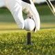 thumbnail image 4 of WHAMVOX 10Ud Soportes Para Bolas De Golf Negros De Silicona Para Uso Exterior Prácticos Y Duraderos, 4 of 8