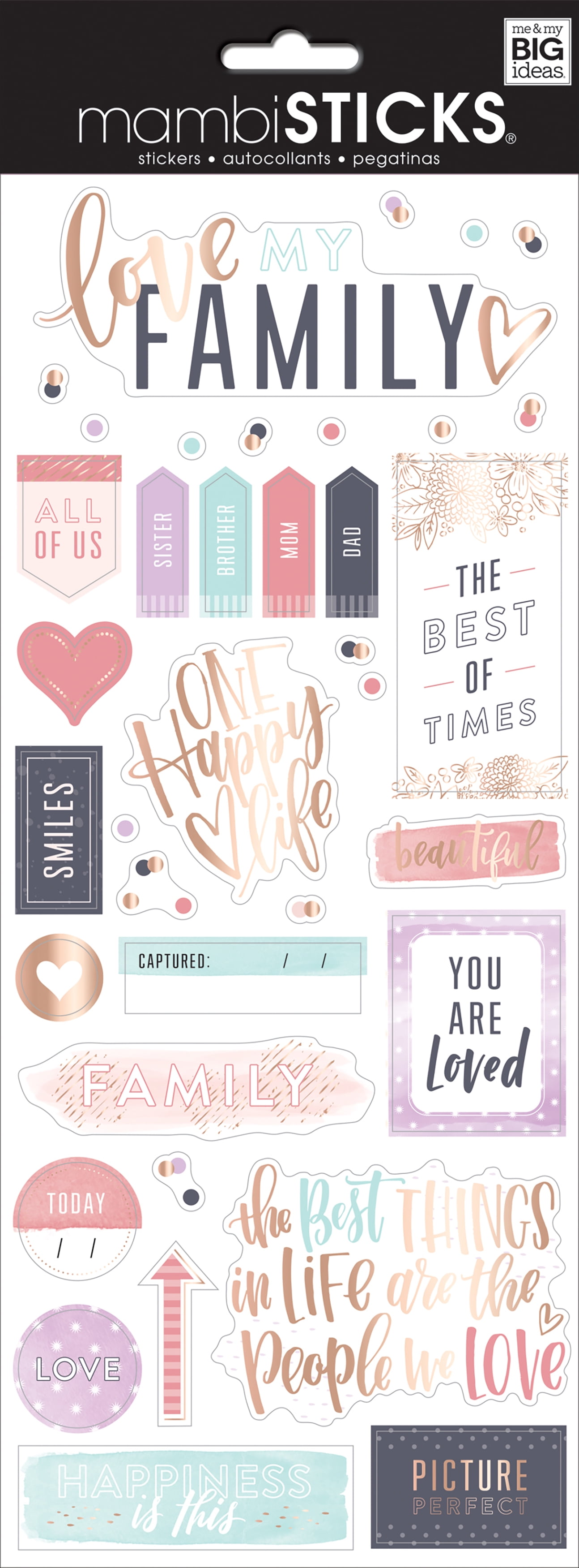 Me & My Big Ideas Specialty Stickers-Family Is Everything 12'X5'