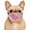 B#, variant on Funny Dog Face Costume Pup Realistic Head Mask, Novelty Costume, Realistic Design, Pet Accessory, Photo Prop, Humorous Look