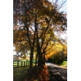 thumbnail image 2 of Alan Hausenflock 13x18 Gallery Wrapped Canvas Wall Art Titled - Country Road III, 2 of 4