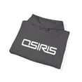 thumbnail image 3 of Osiris Shoes Skateboard D3 Skate 1996 2000s Vintage Classic Hoodie Print - Charcoal / 4XL, 3 of 5