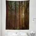 thumbnail image 1 of Nature Tapestry, Redwood Forest in California USA Nature Outdoors Landscape Woods Park, Fabric Wall Hanging Decor for Bedroom Living Room Dorm, 5 Sizes, Redwood Yellow Green, by Ambesonne, 1 of 1
