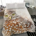 thumbnail image 4 of owl- Bedding set, 4 of 4