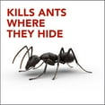 thumbnail image 3 of Insecticide Raid Destructeur de nids de fourmis, pour utilisation à l’extérieur, 400 g, 3 of 8
