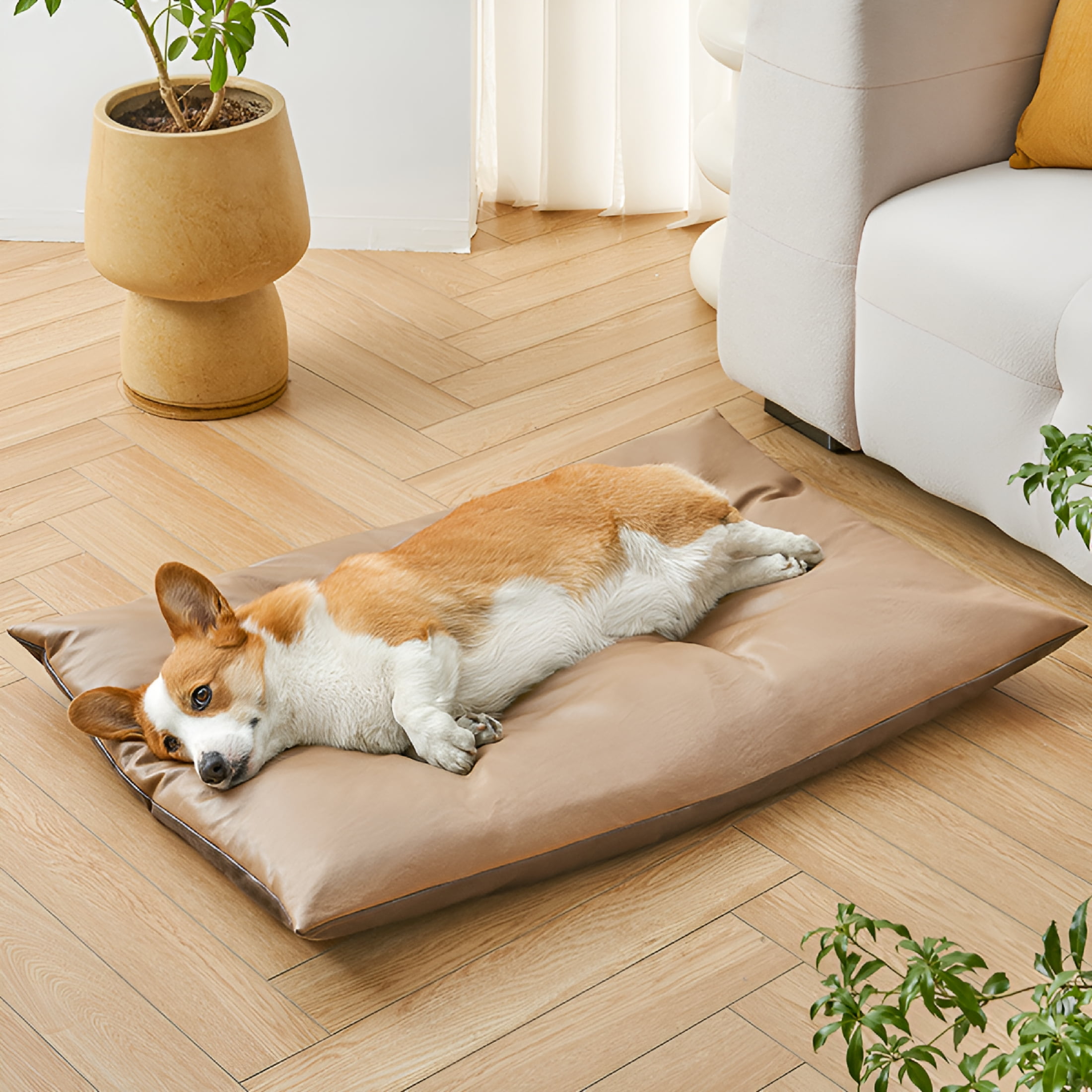 XIBUFE Dog Cat Beds Orthopedic Leather Dog Bed Water Proof Coffee Outdoor Dog Bed Raised Dogs Bed Dog Cot Beds Small Medium Size Dogs Outside Pet Beds