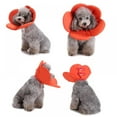 thumbnail image 6 of Flower Shape Puppy Collars For Small Dogs Cover Ring Adjustable Healing Growing Necklace Anti Bite No Lick Protector, 6 of 13