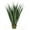 Burgundy, variant on 36 in. Large Outdoor Pandanus Plant, Green
