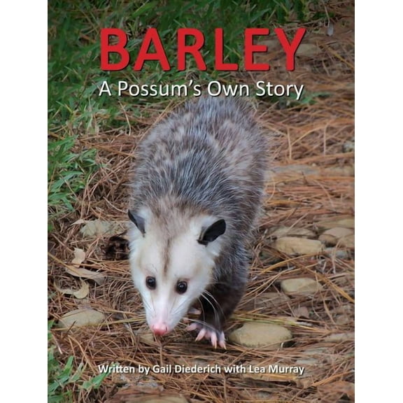 Barley, a Possum's Own Story, (Hardcover)