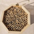 thumbnail image 4 of Flmtop Creative Wooden Tube Bee Hive Insect House Mating Box Garden Beekeeping Supply, 4 of 8