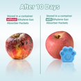 thumbnail image 4 of baomifa-WiseFresh 30 Packs 5 Gram Ethylene Gas Absorber Packet, Vegetable & Fruit Fresh Produce Protector, Food Freshness Extender, Fresh Fruit Preserver, Vegetable Saver, 4 of 4