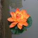 thumbnail image 1 of Flor de loto artificial Kinzd, nenúfar flotante falso para jardín, estanque, pecera, decoración, 1 of 8