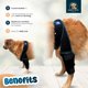 thumbnail image 4 of Rodillera para perros HAPPY PETS CO ajustable para ligamento cruzado, 4 of 9